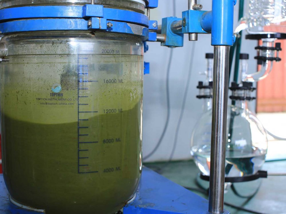 MYKO GLOBAL - Algae Oil Energy